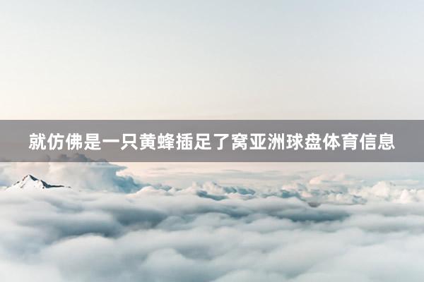 就仿佛是一只黄蜂插足了窝亚洲球盘体育信息