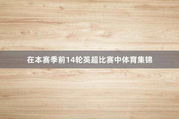 在本赛季前14轮英超比赛中体育集锦
