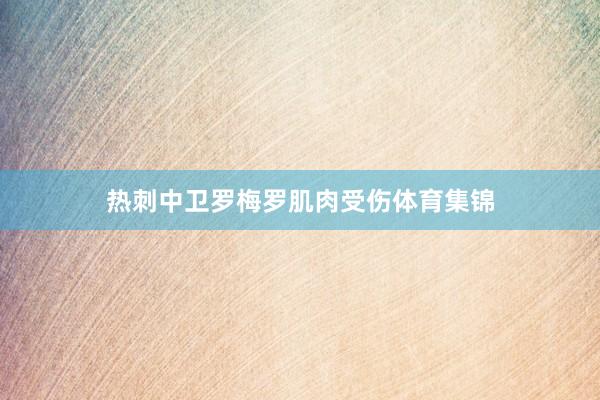 热刺中卫罗梅罗肌肉受伤体育集锦