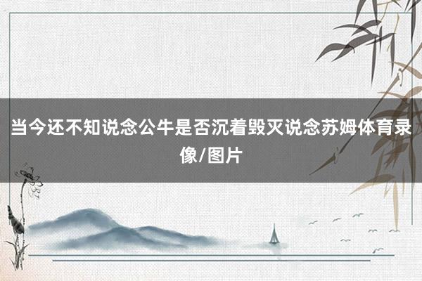 当今还不知说念公牛是否沉着毁灭说念苏姆体育录像/图片
