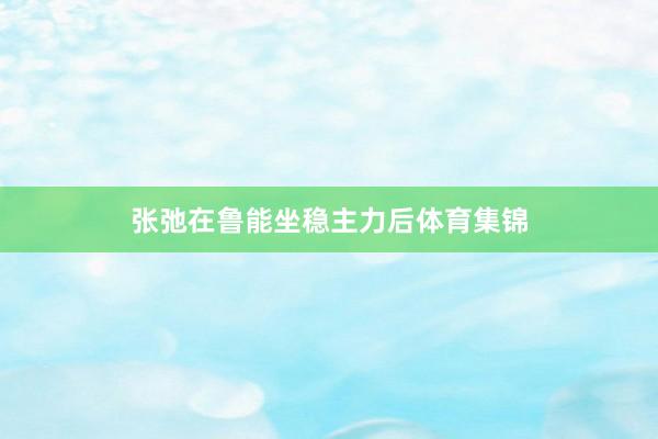 张弛在鲁能坐稳主力后体育集锦