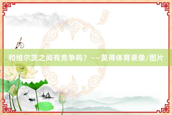 和维尔茨之间有竞争吗?——莫得体育录像/图片