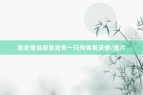 我老是说若是我有一只狗体育录像/图片