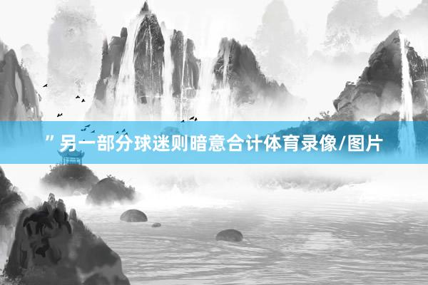 ”另一部分球迷则暗意合计体育录像/图片