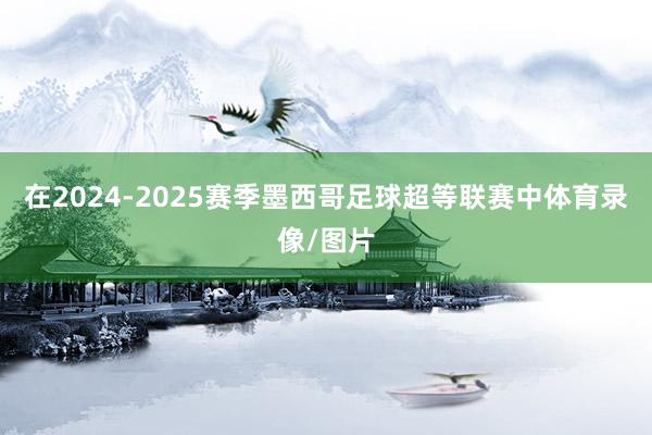 在2024-2025赛季墨西哥足球超等联赛中体育录像/图片