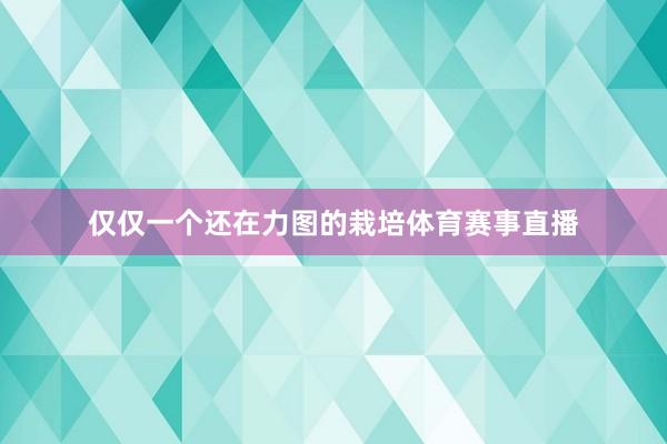 仅仅一个还在力图的栽培体育赛事直播