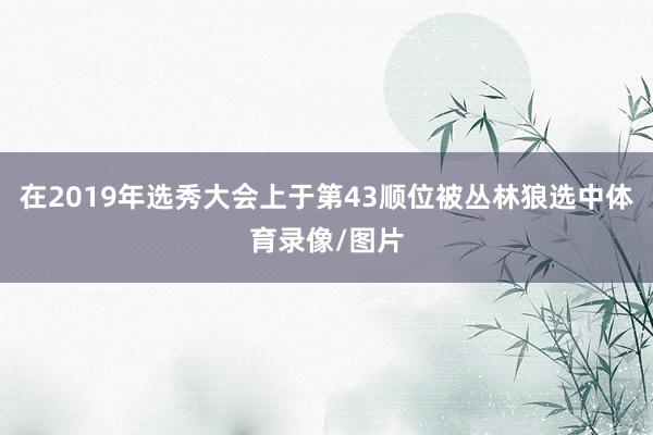 在2019年选秀大会上于第43顺位被丛林狼选中体育录像/图片