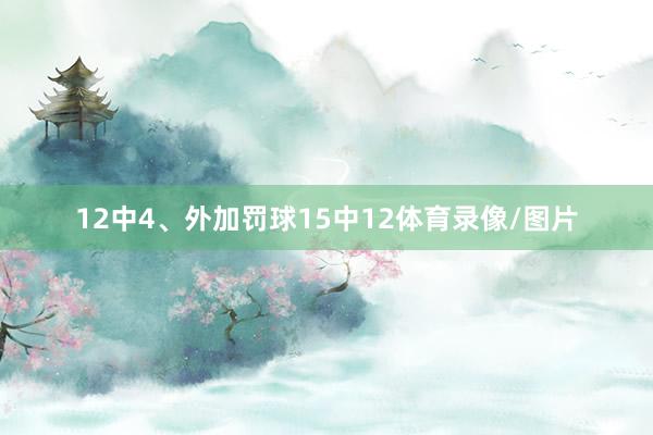 12中4、外加罚球15中12体育录像/图片