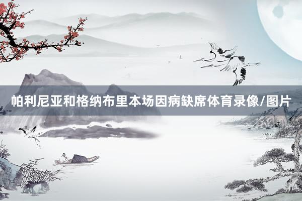 帕利尼亚和格纳布里本场因病缺席体育录像/图片