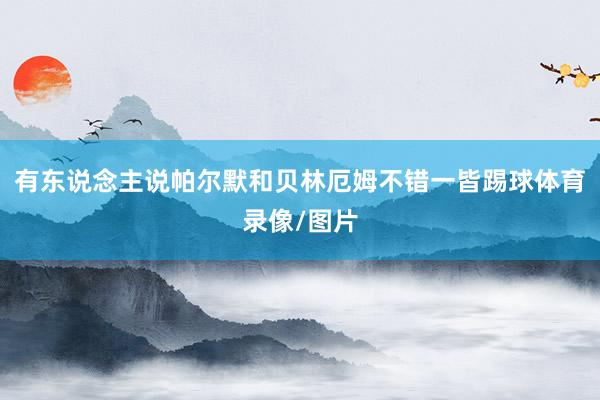 有东说念主说帕尔默和贝林厄姆不错一皆踢球体育录像/图片