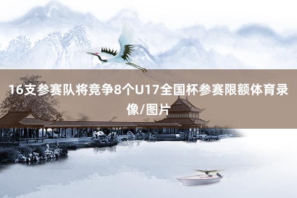 16支参赛队将竞争8个U17全国杯参赛限额体育录像/图片