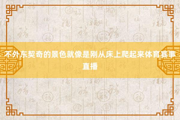 不外东契奇的景色就像是刚从床上爬起来体育赛事直播