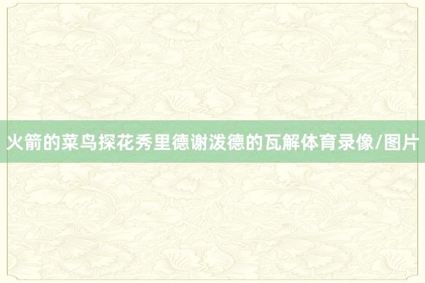 火箭的菜鸟探花秀里德谢泼德的瓦解体育录像/图片