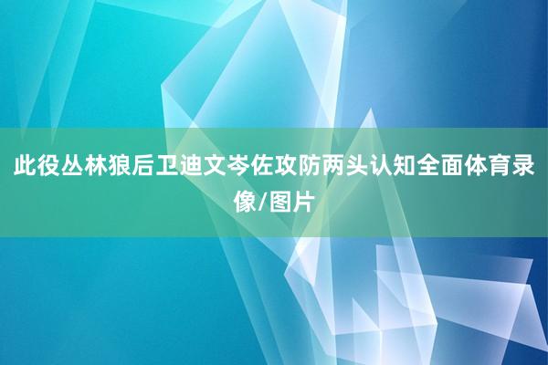此役丛林狼后卫迪文岑佐攻防两头认知全面体育录像/图片