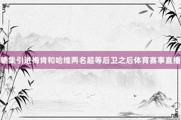 辘集引进梅肯和哈维两名超等后卫之后体育赛事直播