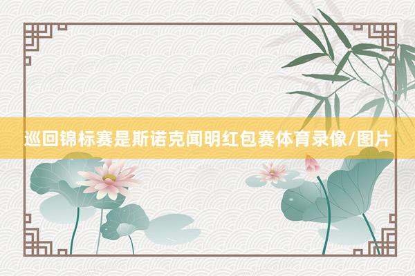 巡回锦标赛是斯诺克闻明红包赛体育录像/图片