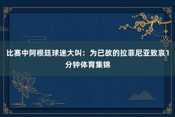 比赛中阿根廷球迷大叫：为已故的拉菲尼亚致哀1分钟体育集锦