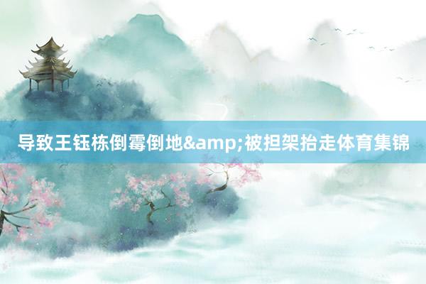 导致王钰栋倒霉倒地&被担架抬走体育集锦