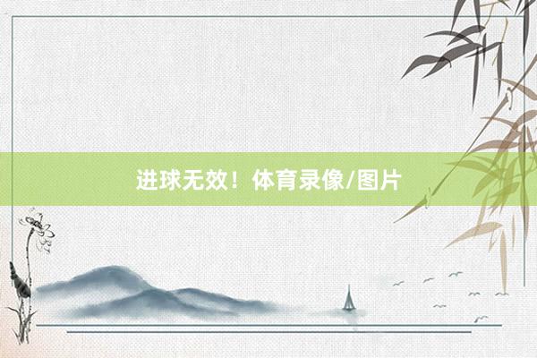进球无效！体育录像/图片