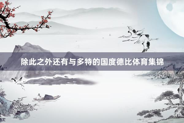 除此之外还有与多特的国度德比体育集锦