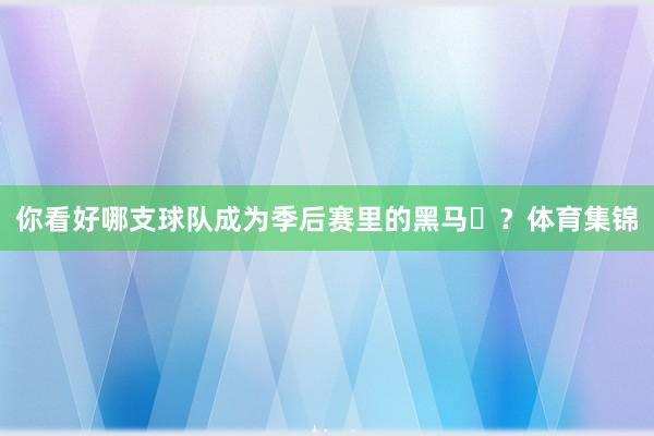 你看好哪支球队成为季后赛里的黑马♞？体育集锦
