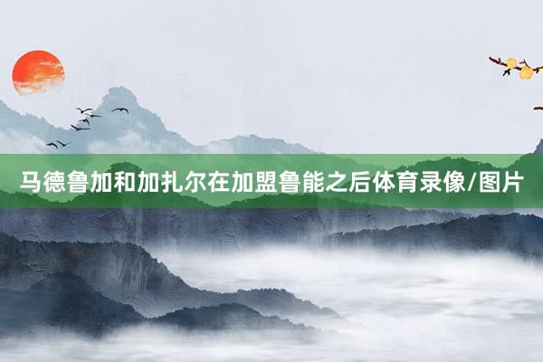 马德鲁加和加扎尔在加盟鲁能之后体育录像/图片
