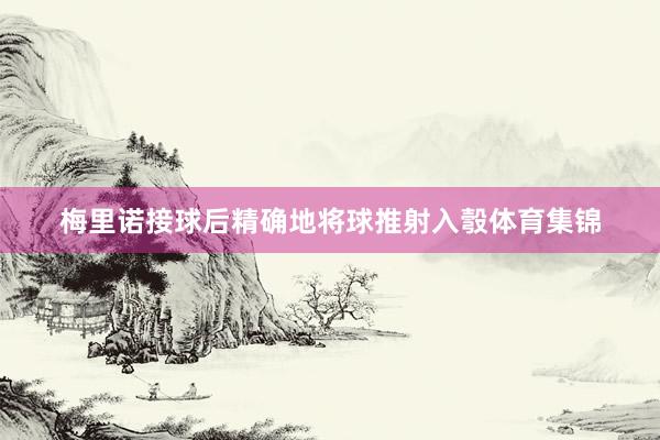 梅里诺接球后精确地将球推射入彀体育集锦