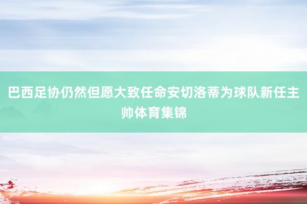 巴西足协仍然但愿大致任命安切洛蒂为球队新任主帅体育集锦
