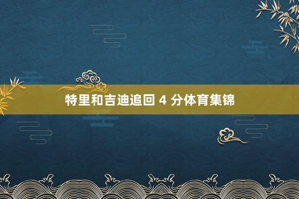 特里和吉迪追回 4 分体育集锦