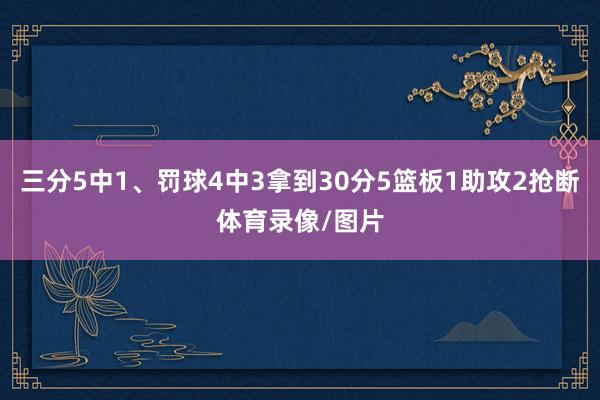 三分5中1、罚球4中3拿到30分5篮板1助攻2抢断体育录像/图片