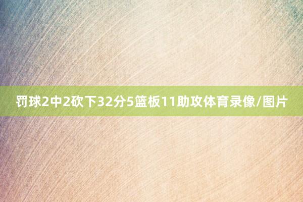 罚球2中2砍下32分5篮板11助攻体育录像/图片