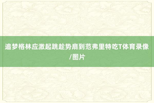 追梦格林应激起跳趁势扇到范弗里特吃T体育录像/图片