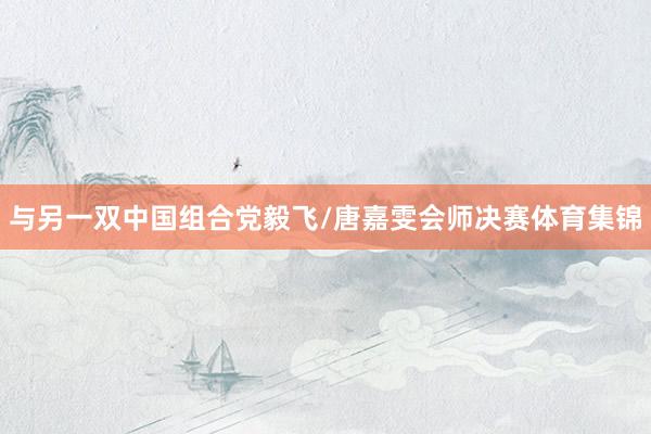 与另一双中国组合党毅飞/唐嘉雯会师决赛体育集锦