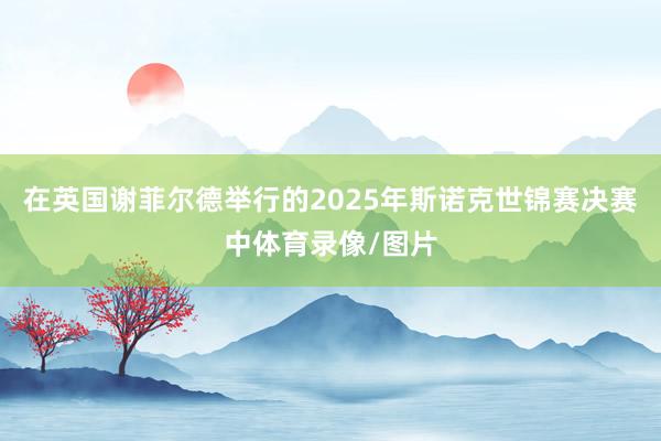在英国谢菲尔德举行的2025年斯诺克世锦赛决赛中体育录像/图片