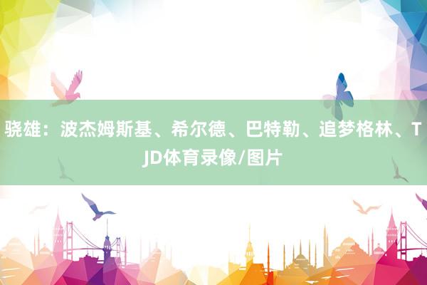 骁雄：波杰姆斯基、希尔德、巴特勒、追梦格林、TJD体育录像/图片