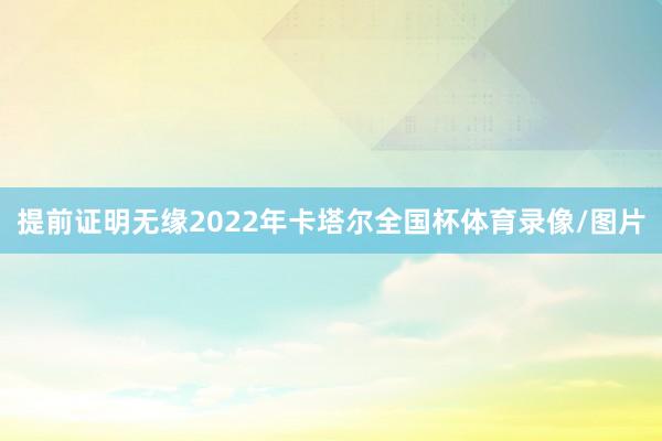 提前证明无缘2022年卡塔尔全国杯体育录像/图片