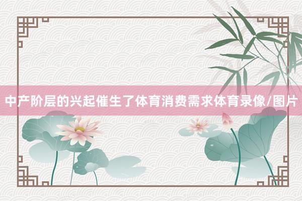 中产阶层的兴起催生了体育消费需求体育录像/图片