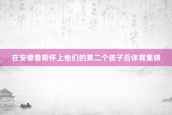在安德鲁斯怀上他们的第二个孩子后体育集锦