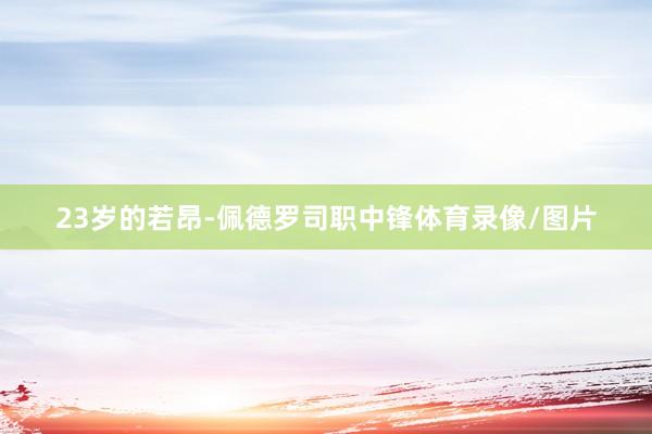23岁的若昂-佩德罗司职中锋体育录像/图片