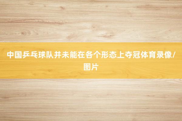 中国乒乓球队并未能在各个形态上夺冠体育录像/图片