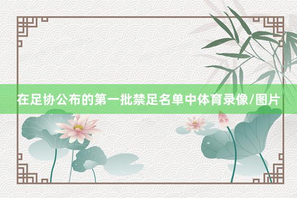 在足协公布的第一批禁足名单中体育录像/图片