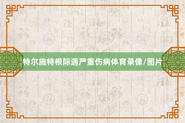 特尔施特根际遇严重伤病体育录像/图片