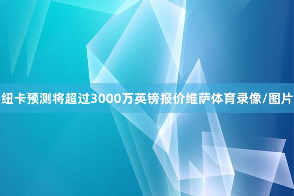 纽卡预测将超过3000万英镑报价维萨体育录像/图片