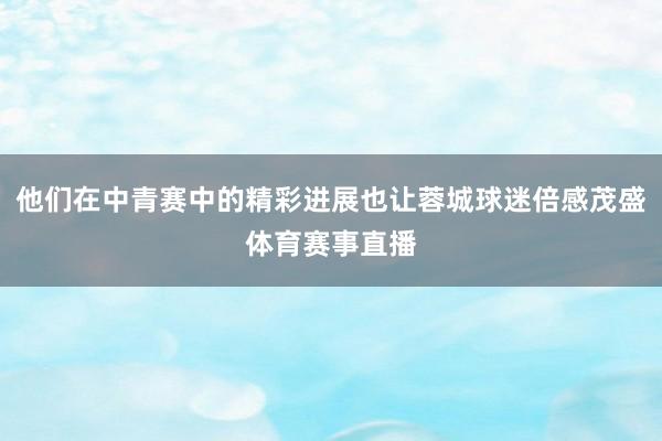 他们在中青赛中的精彩进展也让蓉城球迷倍感茂盛体育赛事直播