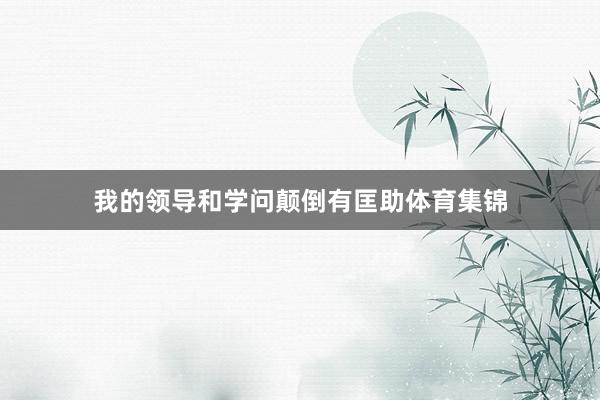 我的领导和学问颠倒有匡助体育集锦
