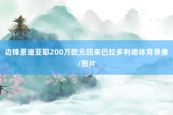 边锋恩迪亚耶200万欧元回来巴拉多利德体育录像/图片
