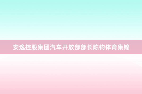 安逸控股集团汽车开放部部长陈钧体育集锦