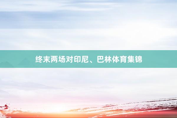 终末两场对印尼、巴林体育集锦