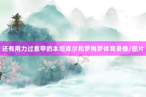 还有用力过意甲的本坦库尔和罗梅罗体育录像/图片