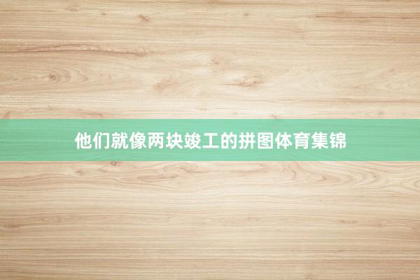 他们就像两块竣工的拼图体育集锦